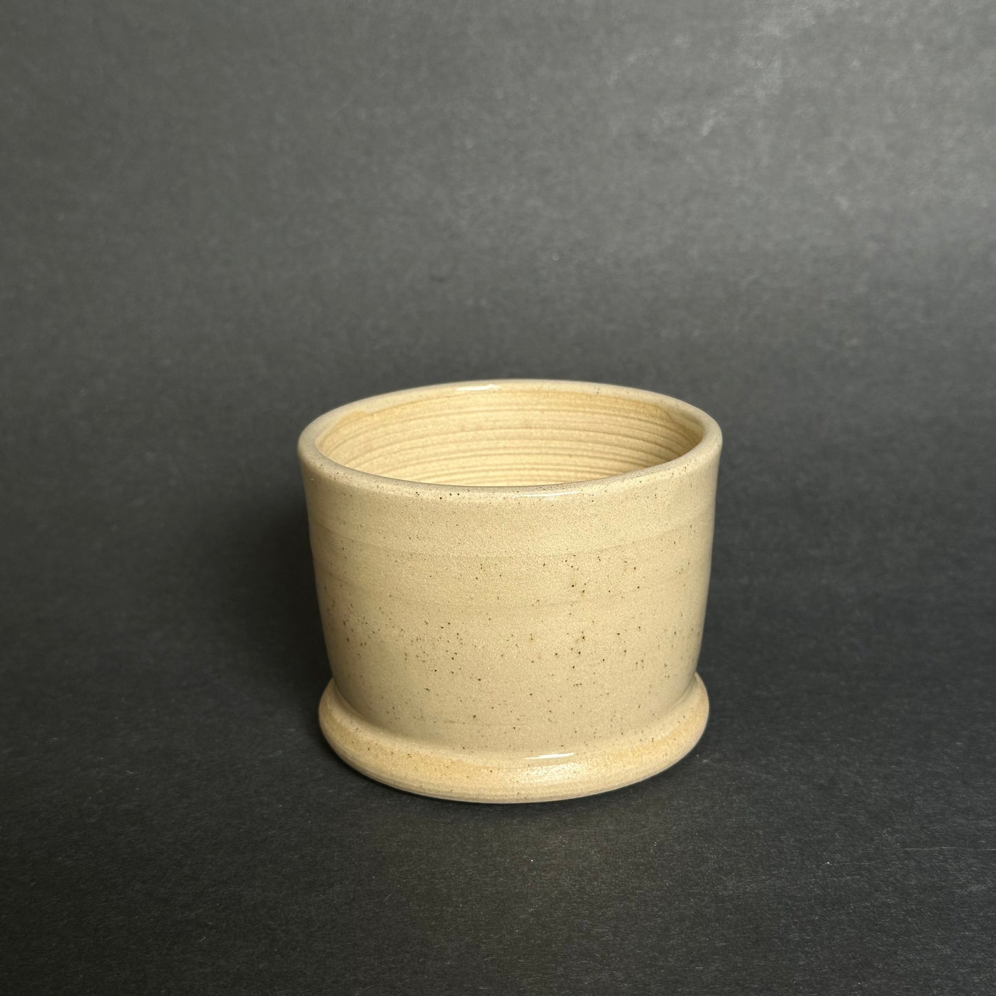 Weenie Dog Small planter